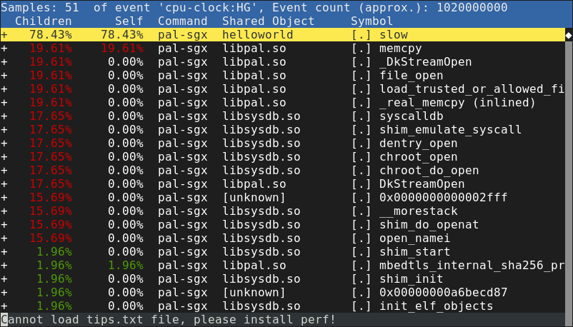 Screenshot of perf report, with in-enclave functions visible.